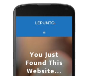 A screenshot of LEPUNTO website